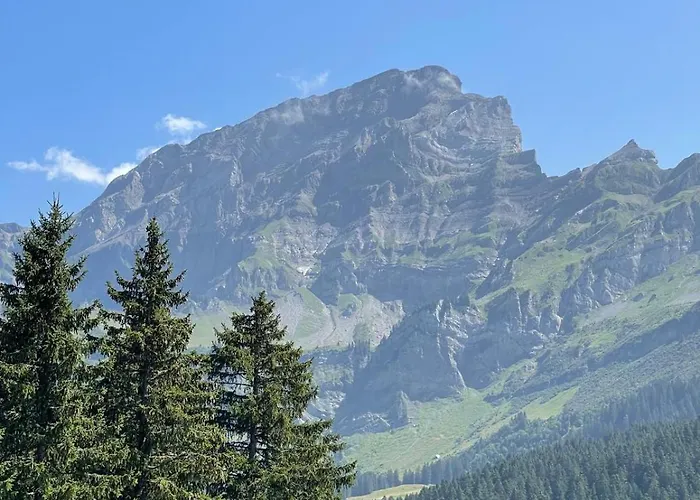 Anemone 17 Апартаменты Грион