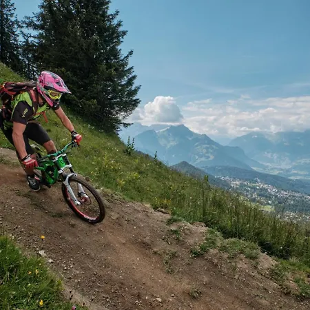 Anemone 17 Apartment