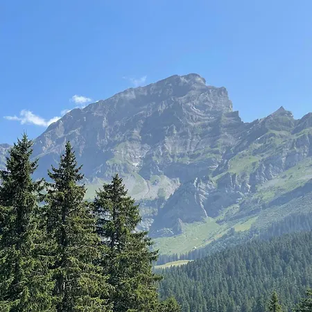 Anemone 17 Apartment Gryon